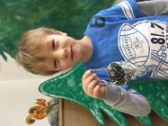 Jak Myšky a Koťata tvoří a hrají si ve školičce