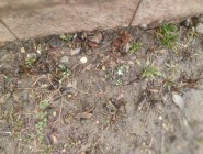 Vidím, slyším, cítím