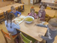 Vidím, slyším, cítím