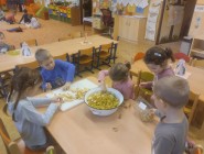 Vidím, slyším, cítím