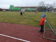 Zvířecí kamarádi