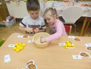 Zvířecí kamarádi