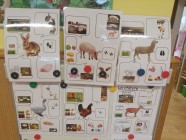 Zvířecí kamarádi