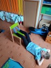 Barevný týden