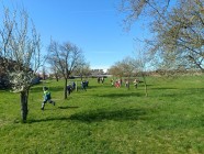 Polámal se mraveneček