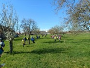 Polámal se mraveneček