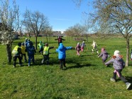 Polámal se mraveneček