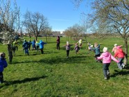 Polámal se mraveneček