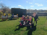 Polámal se mraveneček