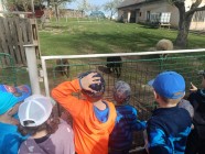 Jen si, děti, všimněte