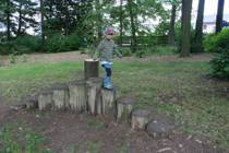 Výlet na Potštejn 7.6.2017