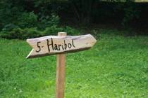 Výlet na Potštejn 7.6.2017