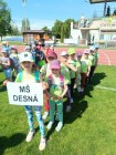 Sportovní hry MŠ v Litomyšli