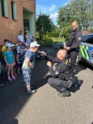 Policie v MŠ