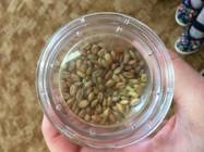 Pasíčka a program v MŠ