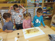 Šel zahradník do zahrady - projektový týden