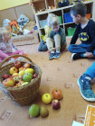 Šel zahradník do zahrady - projektový týden