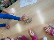 Šel zahradník do zahrady - projektový týden