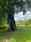 Výlet - Zámek Častolovice