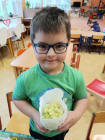 Cesta kolem světa i sportování ve školce