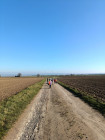 Světýlka a lampiony