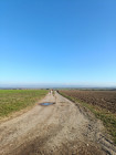 Světýlka a lampiony