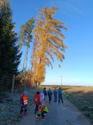 Hlava, ramena, kolena