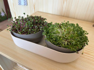 Těšíme se na Velikonoce!