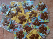 Hody, hody doprovody