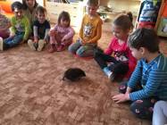 Záchranná stanice Pasíčka v MŠ - program Ježečci