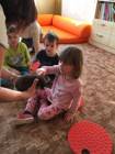 Záchranná stanice Pasíčka v MŠ - program Ježečci