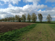 Den Země - program od ZŠ