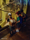 Školní výlet ZOO Jihlava