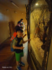 Školní výlet ZOO Jihlava