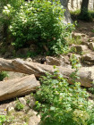 Školní výlet ZOO Jihlava