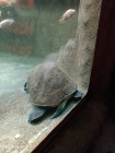 Školní výlet ZOO Jihlava