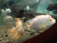Školní výlet ZOO Jihlava