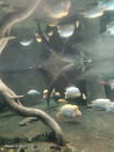 Školní výlet ZOO Jihlava
