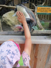 Školní výlet ZOO Jihlava