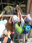 Školní výlet ZOO Jihlava