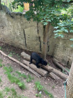 Školní výlet ZOO Jihlava