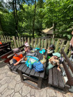 Školní výlet ZOO Jihlava
