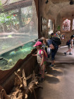 Školní výlet ZOO Jihlava