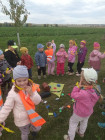 Myšičky - Projektový den - "Cesta za ztraceným dráčkem"
