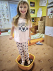 Šel zahradník do zahrady