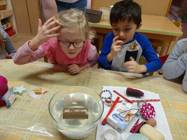 Koťátka - koloběh vody, voda a pokusy