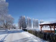 Mrazivý den na Desné