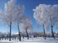 Mrazivý den na Desné