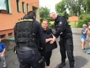 Policie v MŠ