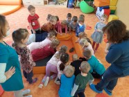 Záchranná stanice "Pasíčka" - Ježeček